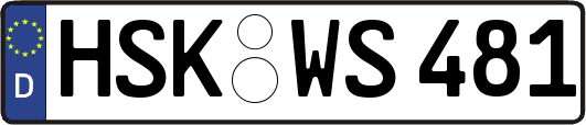 HSK-WS481