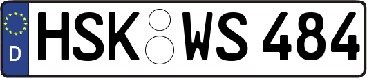 HSK-WS484