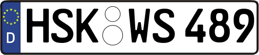 HSK-WS489