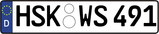 HSK-WS491