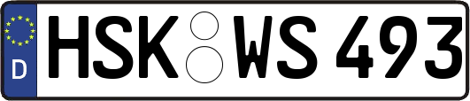 HSK-WS493