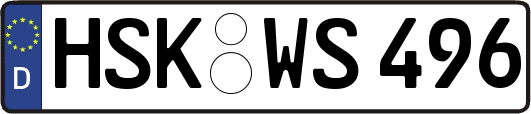 HSK-WS496