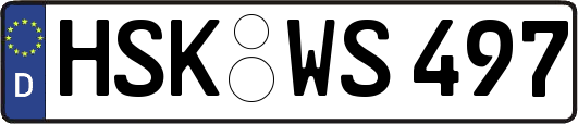 HSK-WS497