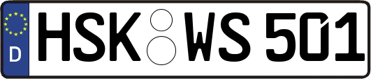 HSK-WS501