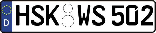 HSK-WS502