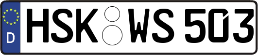 HSK-WS503