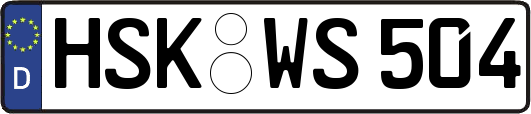 HSK-WS504