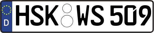 HSK-WS509