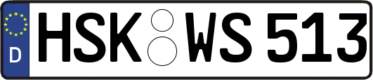 HSK-WS513