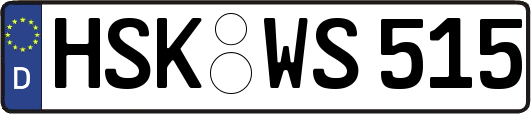 HSK-WS515