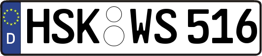 HSK-WS516