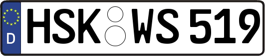 HSK-WS519