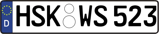 HSK-WS523