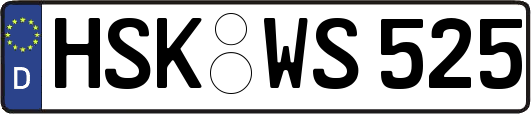 HSK-WS525