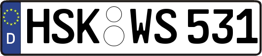 HSK-WS531