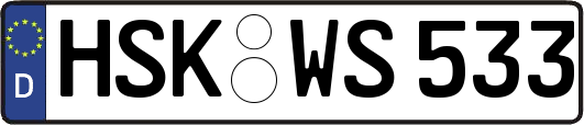 HSK-WS533