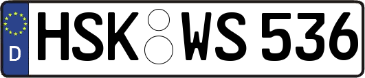 HSK-WS536