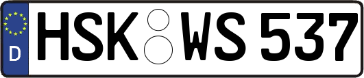 HSK-WS537