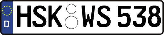 HSK-WS538