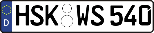 HSK-WS540