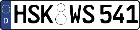 HSK-WS541