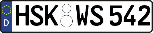 HSK-WS542