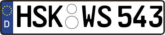 HSK-WS543