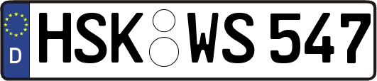 HSK-WS547