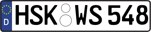 HSK-WS548