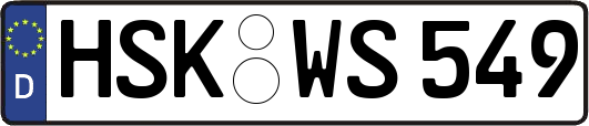 HSK-WS549