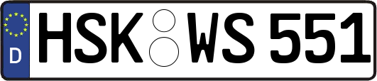 HSK-WS551