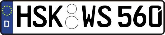 HSK-WS560