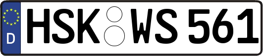 HSK-WS561