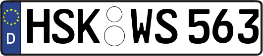 HSK-WS563