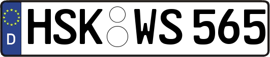 HSK-WS565