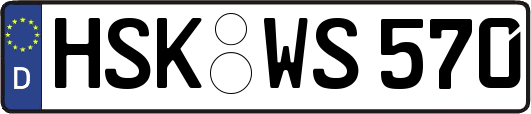 HSK-WS570
