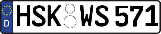 HSK-WS571