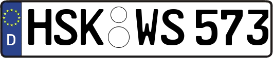 HSK-WS573