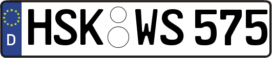 HSK-WS575