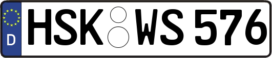 HSK-WS576