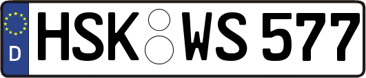 HSK-WS577