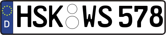 HSK-WS578