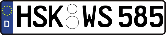 HSK-WS585