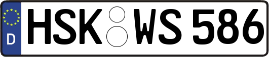 HSK-WS586