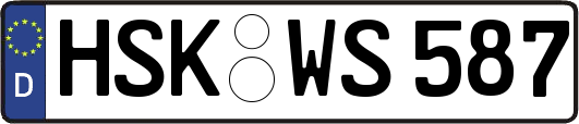 HSK-WS587