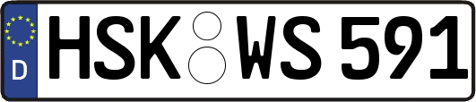 HSK-WS591