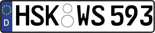 HSK-WS593