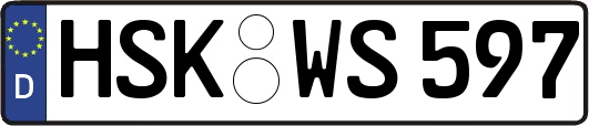 HSK-WS597