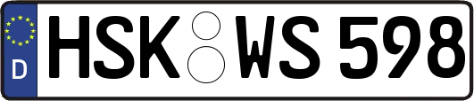 HSK-WS598