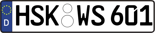 HSK-WS601